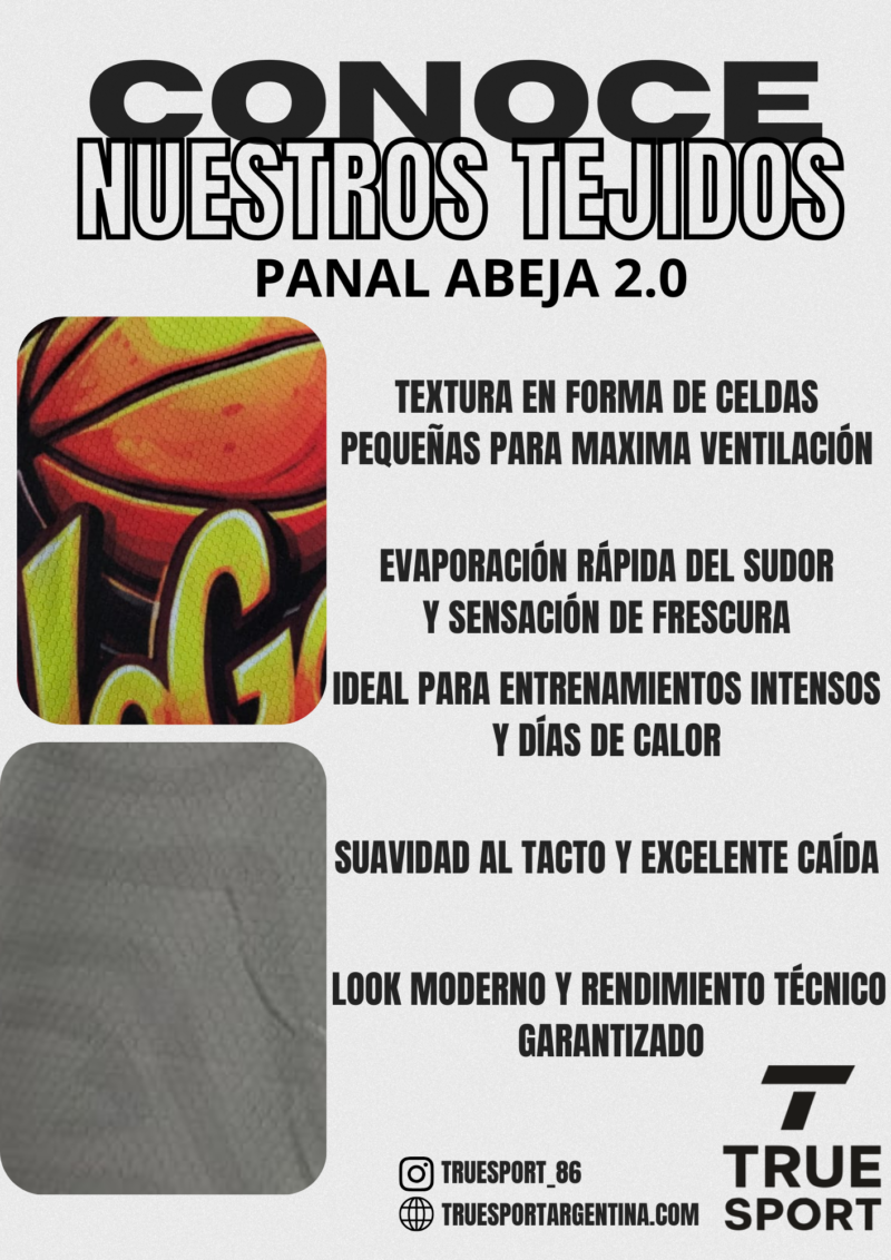 FLYER PANAL